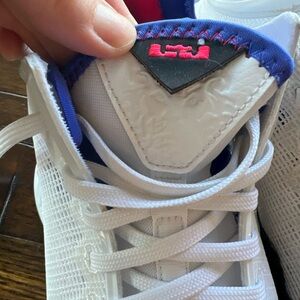 Lebron Witness Basketball Shoe Men’s size 9.5